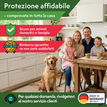 Carica l'immagine nel visualizzatore di Gallery, Pattler Trappola Moscerini per Piante da Interno – 60 Pezzi. Trappole Cromotropiche Gialle Adesive a Doppio Lato, Anti M