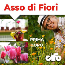 Carica l'immagine nel visualizzatore di Gallery, CIFO Asso di Fiori - Concime Piante Verdi e Fiorite in Polvere Solubile, Fertilizzante Orto, Giardino e Balcone - Contri
