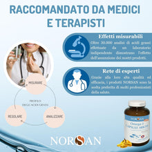 Carica l'immagine nel visualizzatore di Gallery, NORSAN Omega 3 Capsule Arktis, Olio di Fegato di Merluzzo, 1x120 pz