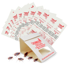 Carica l'immagine nel visualizzatore di Gallery, Catchmaster 100i - Trappole per Scarafaggi 30x | Senza Veleno | Disinfestazione con Esche Adesive Integrate | Efficace C
