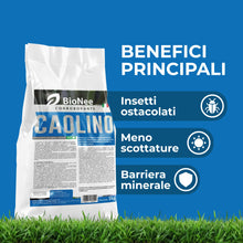 Carica l'immagine nel visualizzatore di Gallery, Caolino corroborante potenziatore difese naturali MOSCA DELL'OLIVO (1 kg)