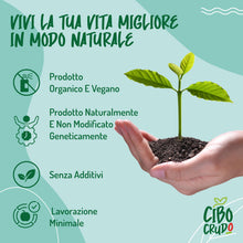 Carica l'immagine nel visualizzatore di Gallery, Lievito Alimentare in Scaglie Secco e Biologico - 100 g. Naturalmente Senza Glutine Lattosio e Agenti Lievitanti. Lievit