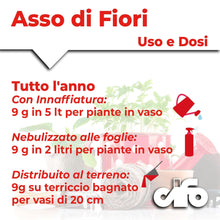 Carica l'immagine nel visualizzatore di Gallery, CIFO Asso di Fiori - Concime Piante Verdi e Fiorite in Polvere Solubile, Fertilizzante Orto, Giardino e Balcone - Contri