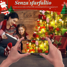 Carica l'immagine nel visualizzatore di Gallery, 20 Pezzi Lampadine E10 24V 3W, 30LM Bianca Calda 2700K, Lampadine di Ricambio Candela per Archi, Lampadina a Candela Con
