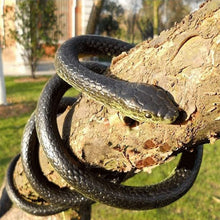 Carica l'immagine nel visualizzatore di Gallery, LANTING Serpente Finto Gomma Realistico 130cm Scherzo Halloween