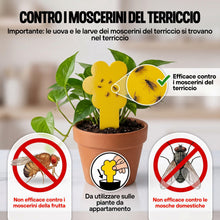 Carica l'immagine nel visualizzatore di Gallery, OLLIE Trappola per Moscerini delle Piante, 30 Trappole Cromotropiche Gialle