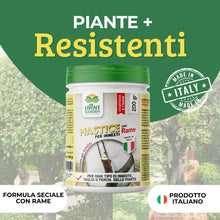 Carica l'immagine nel visualizzatore di Gallery, Albagarden - Mastice Per Innesti E Potature ++ Con Rame ++ Antibatterico Pasta Cicatrizzante Curativa Per Ferite Piante 