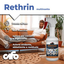 Carica l'immagine nel visualizzatore di Gallery, CIFO Rethrin Multinsetto - Insetticida Formiche Scarafaggi Ragni Vespe e Altri Insetti, Azione Abbattente e Residuale, D