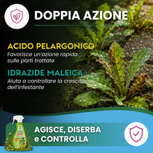 Carica l'immagine nel visualizzatore di Gallery, Albagarden - Diserbante Totale a base di Acido Pelargonico - Erbicida Ad Azione Disseccante Per Erbacce, Gramigna Alghe 