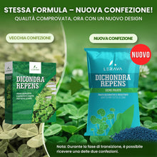 Carica l'immagine nel visualizzatore di Gallery, LERAVA Dicondra semi (40m²) - Non richiede taglio - Estrema resistenza alla siccità - semi dicondra per prato ideali per