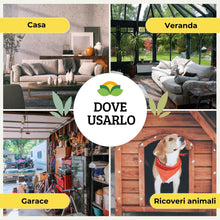 Carica l'immagine nel visualizzatore di Gallery, Albagarden - Insetticida Formiche E Scarafaggi Per Ambienti - Insetticida Multinsetto Contro Zanzare Mosche Vespe E Tutt