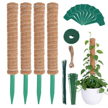 Carica l'immagine nel visualizzatore di Gallery, HOVIN Monstera - Traliccio di cocco – Confezione da 4 bastoncini di muschio estensibili 40 cm – per piante rampicanti da