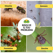Carica l'immagine nel visualizzatore di Gallery, Albagarden - Insetticida Formiche E Scarafaggi Per Ambienti - Insetticida Multinsetto Contro Zanzare Mosche Vespe E Tutt