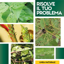 Carica l&#39;immagine nel visualizzatore di Gallery, Albagarden - Effetto Insetticida Piante Naturale - Olio Di Neem Per Piante + Estratto Di Ortica Biologico - Repellente Per Cocciniglia Afidi Ragnetto Rosso Pidocchi Zanzare E Insetti - Spray 250 ml