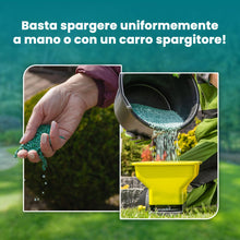 Carica l'immagine nel visualizzatore di Gallery, LERAVA® Concime per Prato Marathon (85 m²) - Fertilizzante a Lenta Cessione fino a 4 Mesi - Concime Prato Autunno con Po