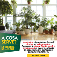 Carica l&#39;immagine nel visualizzatore di Gallery, Albagarden - PIRETRO Insetticida Piante Naturale - Elimina Afidi, Mosca Bianca, Moscerini E Lepidotteri - Rapida Azione Abbattente Per Tutti i Tipi Di Piante - Spray Pronto Uso 500 ml