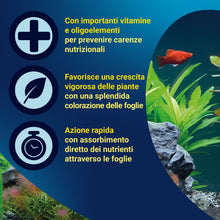 Carica l'immagine nel visualizzatore di Gallery, Tetra PlantaPro - Fertilizzante liquido per piante d'acquario, 250 ml