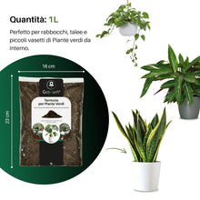 Carica l'immagine nel visualizzatore di Gallery, GebEarth® | Terriccio per Piante Verdi | Nutrimento Prolungato e Crescita Sana | Ideale per Monstera, Photos, Dracaena e