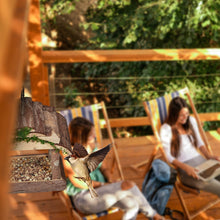 Carica l'immagine nel visualizzatore di Gallery, Relaxdays Mangiatoia per Uccelli, Casette in Legno Dispenser di Mangime da Esterno, Decorazione da Giardino, Marrone