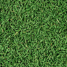 Carica l'immagine nel visualizzatore di Gallery, COMPO SEMI per Prato Veloce, Miscela Speciale, Seme Ricoperto, Per rigenerare Tappeti Erbosi, 1 kg