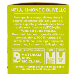 Bonomelli Infusi Fruttosi, Mela e Limone, Confezione da 12 Filtri, Gusto Unico e Originale, Infusione a Caldo e a Freddo, Ingredienti 100% Naturali (24g)
