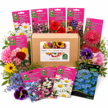 Carica l'immagine nel visualizzatore di Gallery, Nojus - Collezione di semi di fiori e prato da giardino - 30 varietà - Semi di fiori per bordure, vasi da balcone, giard