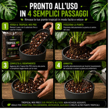 Carica l'immagine nel visualizzatore di Gallery, Clorophilla Tropical Mix PRO - Terriccio Premium per Monstera, Philodendron, Alocasia, Anthurium e Piante Tropicali | Su