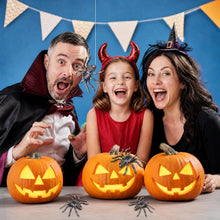 Carica l'immagine nel visualizzatore di Gallery, 2 Pezzi Ragno di Halloween Realistico Ragni Modello per Scherzi Decorazioni