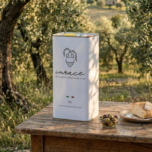 Carica l'immagine nel visualizzatore di Gallery, Iurace Olio Extravergine di Oliva Calabria, estratto a freddo, 5 Litri