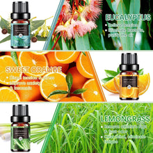 Carica l'immagine nel visualizzatore di Gallery, AESHORY Set di Oli Essenziali per Diffusori 6 x 10ML, 100% Puri Naturali Olio Essenziale Profumate per Aromaterapia, SPA, Massaggio - Lavanda, Tea Tree, Menta Piperita, Eucalipto, Arancia Dolce