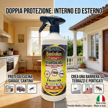 Carica l'immagine nel visualizzatore di Gallery, Insetticida Multinsetto Uno Contro Tutti Azione Abbattente Repellente Formato 750ml + 250ml Gratis