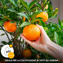 Carica l'immagine nel visualizzatore di Gallery, ZOMA Terriccio per Agrumi professionale Con Ph Leggermente Acido - Terriccio agrumi Concimato naturalmente con il 20% di