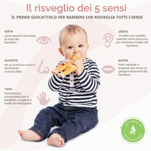 Carica l'immagine nel visualizzatore di Gallery, Sophie la Girafe - Fanfan le Faon per Bebè - Dalla Nascita