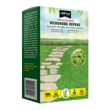 Carica l'immagine nel visualizzatore di Gallery, Dichondra Repens