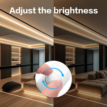 Carica l'immagine nel visualizzatore di Gallery, YAODHAOD Dimmer per strisce LED, 12 V