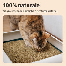 Carica l'immagine nel visualizzatore di Gallery, Lettiera per Gatti Agglomerante al Mais, 10L (Confezione da 1) (in Precedenza Un Marchio Lifelong, Stesso Prodotto)