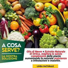 Carica l&#39;immagine nel visualizzatore di Gallery, Albagarden - Effetto Insetticida Piante Naturale - Olio Di Neem Per Piante + Estratto Di Ortica Biologico - Repellente Per Cocciniglia Afidi Ragnetto Rosso Pidocchi Zanzare E Insetti - Spray 250 ml