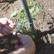 Carica l'immagine nel visualizzatore di Gallery, TENAX Tubetto Agricolo Verde 1000g Diametro 2mm, Legatura in PVC per Piante, ortaggi e Fiori, Lunghezza Circa 240 m,1 item