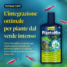 Carica l'immagine nel visualizzatore di Gallery, Tetra PlantaPro - Fertilizzante liquido per piante d'acquario, 250 ml