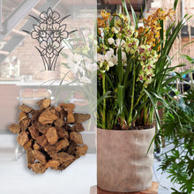 Carica l'immagine nel visualizzatore di Gallery, Kalapanta Terriccio per Orchidee Cymbidium 2L Pronto all'Uso - Mix Corteccia Bark naturale e Torba neutra Professionale 