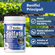Carica l'immagine nel visualizzatore di Gallery, Solfato di Rame | Concime Inorganico Puro 98/99% | Rame Solubile 25% | Uso Agricolo e Biologico | Residuo Zero | Rame Pe