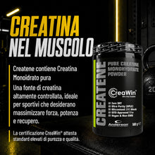 Carica l'immagine nel visualizzatore di Gallery, Creawin, Creatina Monoidrata in Polvere 500g, Alta Qualità, Anderson