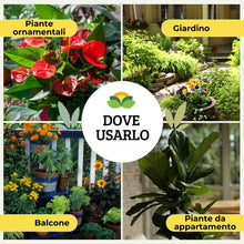 Carica l'immagine nel visualizzatore di Gallery, Albagarden Piretro Insetticida Piante Naturale - Elimina Afidi, Mosca Bianca, Moscerini E Lepidotteri - Rapida Azione Ab
