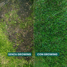 Carica l'immagine nel visualizzatore di Gallery, Il Paese Verde Concime Growing 100mq, 4kg