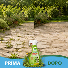 Carica l'immagine nel visualizzatore di Gallery, Albagarden - Diserbante Totale a base di Acido Pelargonico - Erbicida Ad Azione Disseccante Per Erbacce, Gramigna Alghe 