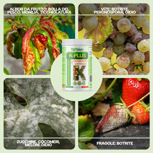 Carica l'immagine nel visualizzatore di Gallery, Fitokem K Plus Bicarbonato di Potassio per Piante 1KG Fertilizzante Concime Orto Giardino Alberi da Frutto Universale Fu