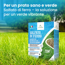 Carica l'immagine nel visualizzatore di Gallery, LERAVA® Solfato di Ferro (20m²) – Antimuschio per prato – Correttore pH e Anti-Ingiallimento – Antingiallente Fogliare –