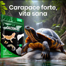 Carica l'immagine nel visualizzatore di Gallery, AF® Calcio Tartaruga di Terra e Rettili, 150g Calcium D3 Calcio per Tartarughe di Terra Vitamina D3 Senza Fosforo, Polve