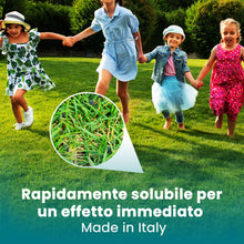 Carica l'immagine nel visualizzatore di Gallery, LERAVA® Concime per Prato Marathon (85 m²) - Fertilizzante a Lenta Cessione fino a 4 Mesi - Concime Prato Autunno con Po