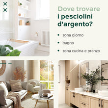 Carica l'immagine nel visualizzatore di Gallery, DFNT Combatte i pesciolini d'argento con spray per pesci d'argento, 500 ml, prodotto biodegradabile contro i pesci d'argento, alternativa